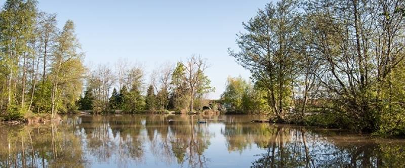 Willows - The Oaks Lakes Sessay